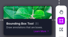 Bounding Box Tool (B) selection