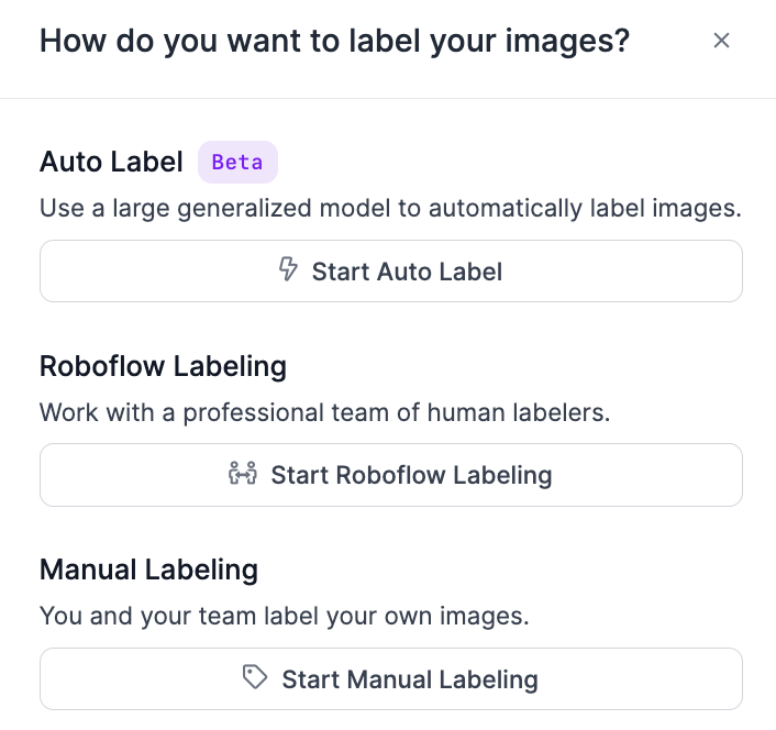 Select Auto Label to open the Roboflow Auto Label interface