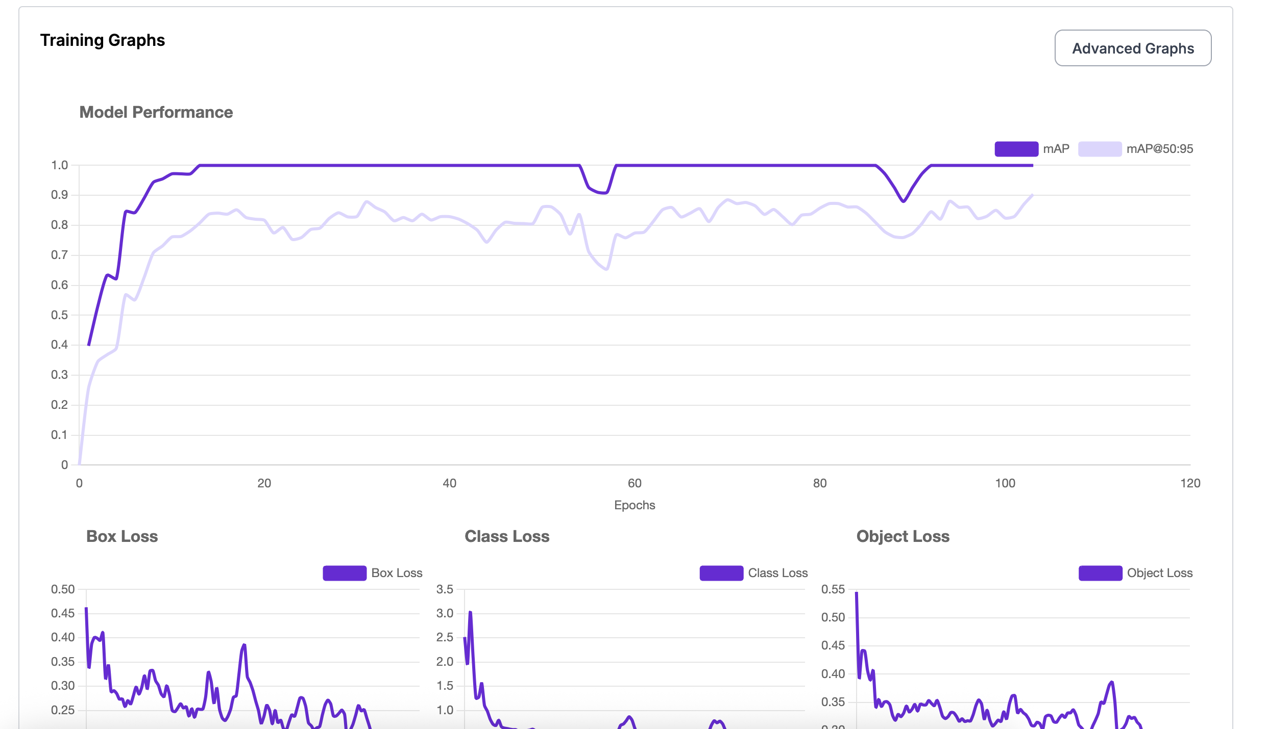 Training Graphs section