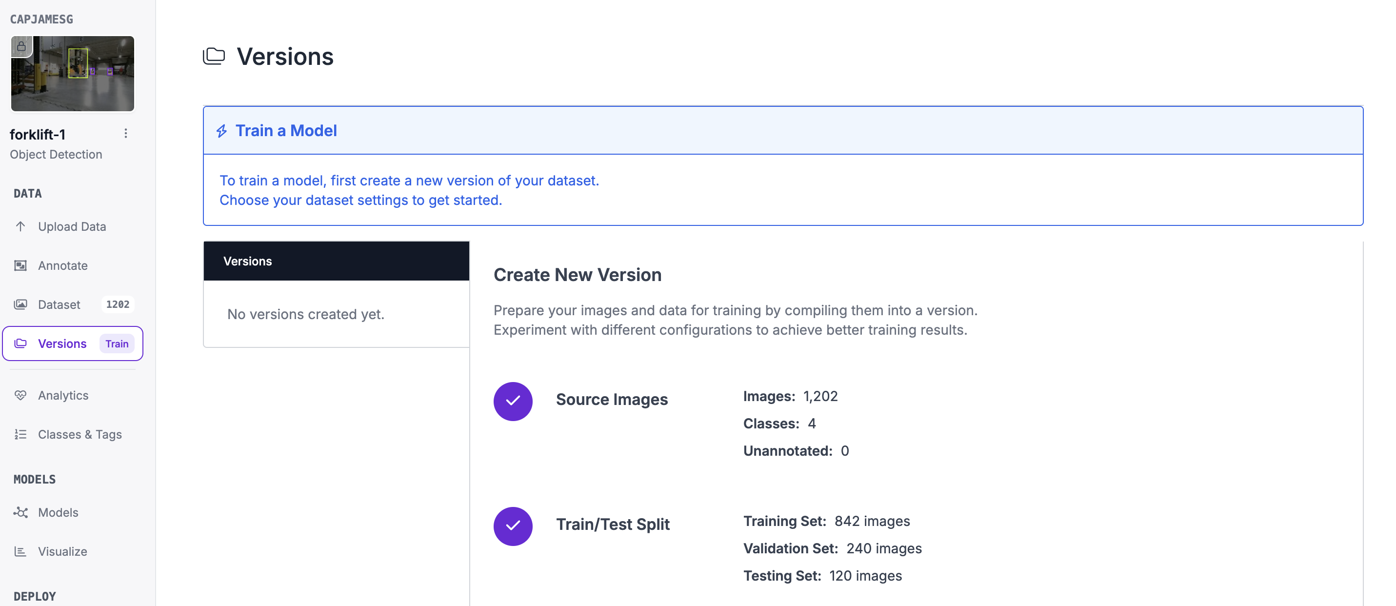 Project version page