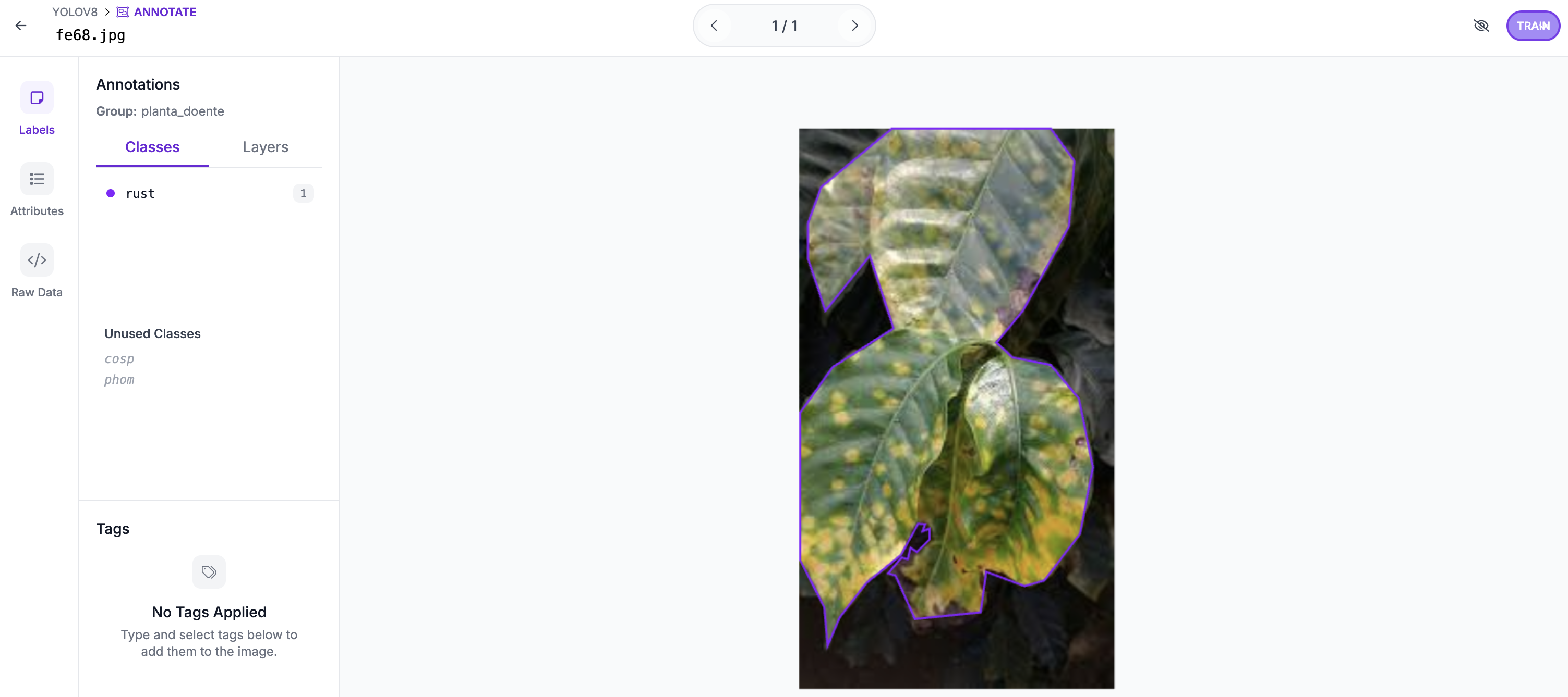View-only annotation interface